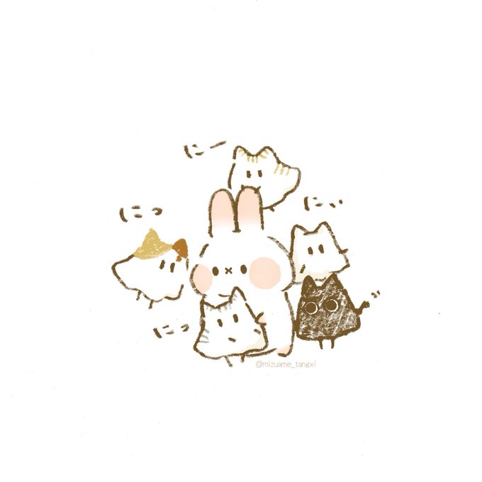 「サイン 白い猫」のTwitter画像/イラスト(新着)｜5ページ目