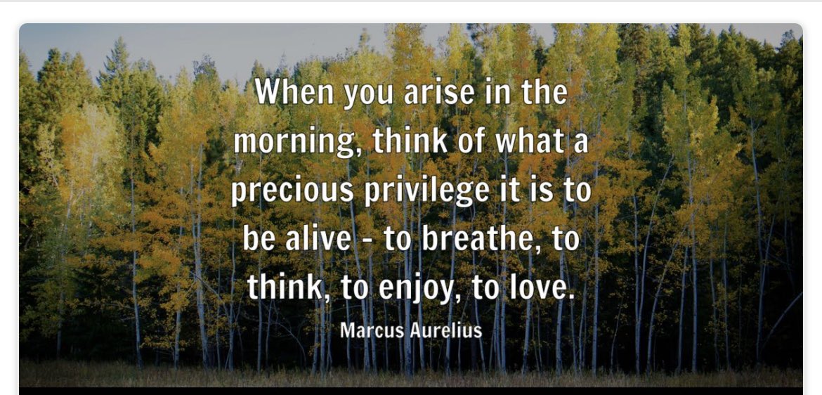 Good morning #SINNERS look after whatever you have at the moment and be grateful for another day you are very special and unique look after yourself just wait for the right time you will get what is made for you so chilli enjoy ❤️#sinnersupportsinners