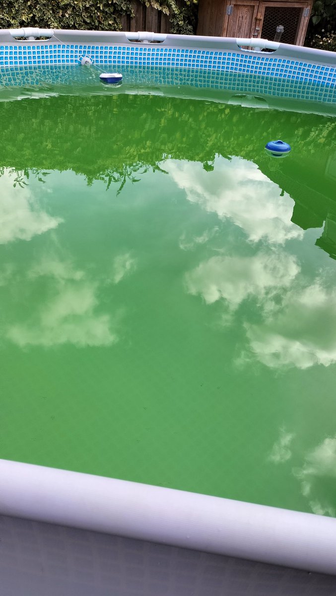 JansenEJG's tweet photo. Het water van het zwembad is kraakhelder appte ons pa 3 dagen geleden.... Nou, de Hulk is nog minder groen! #phminus #phplus #chloorchock #gewoonleeglatenlopendenkik https://t.co/bcJxOzuMGM