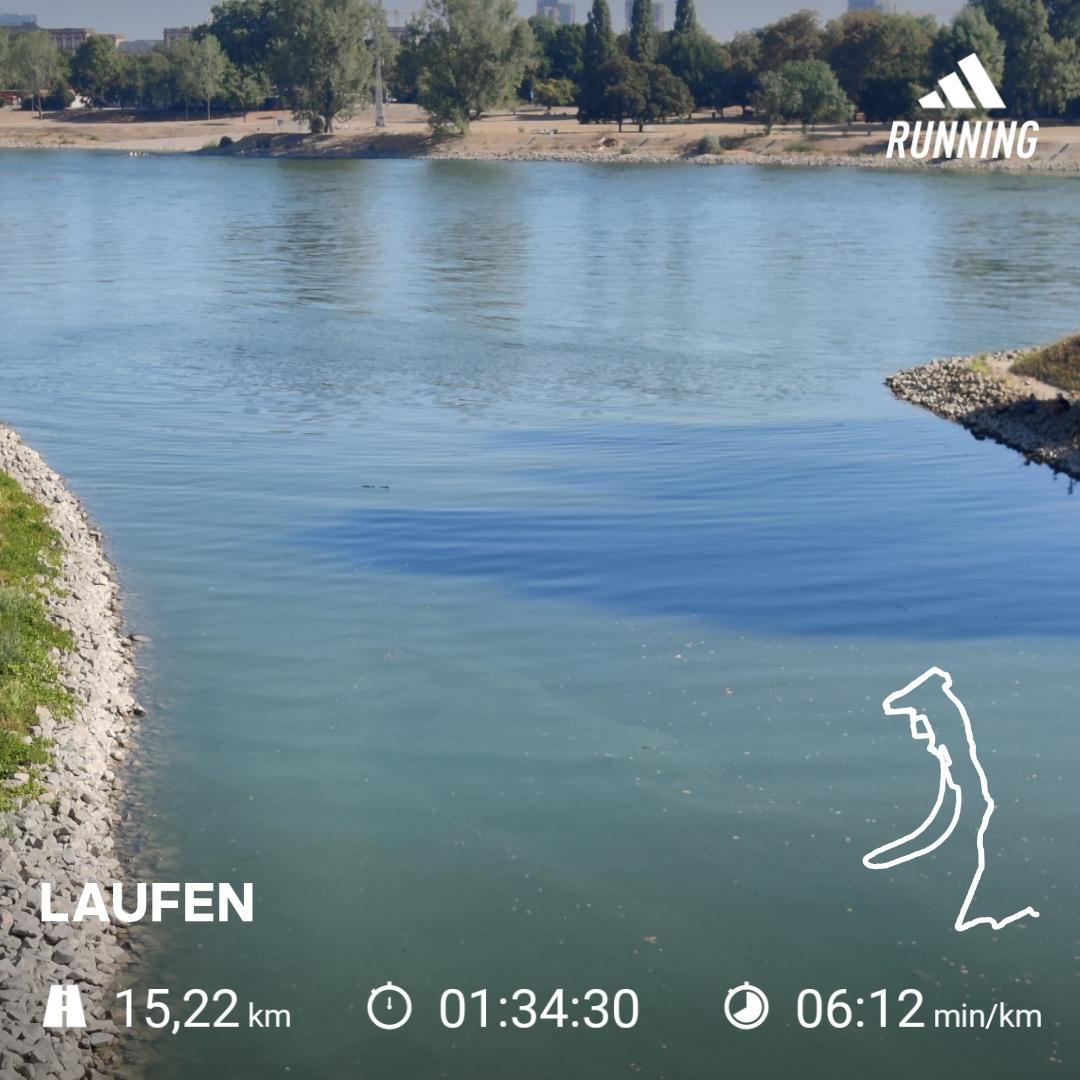 dermenschlaeuft's tweet photo. Gemütliche Morgenrunde 🏃#laufen #rumning #sport #fitness #traiming https://t.co/omdNfAI1hW