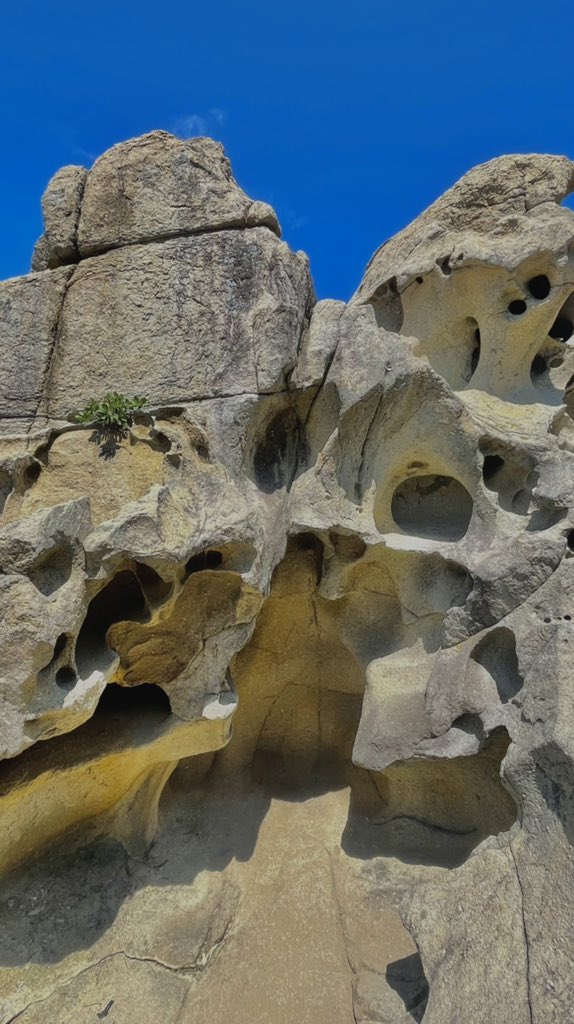 serodozer's tweet image. 당일치기 같은 고성/속초 1박타래 🌊