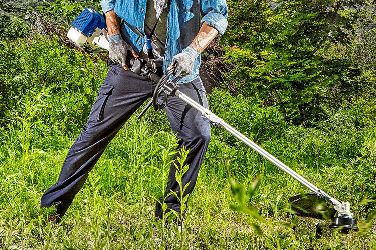 Captain Steve🇮🇹💙✈️ (comission open) tweet media