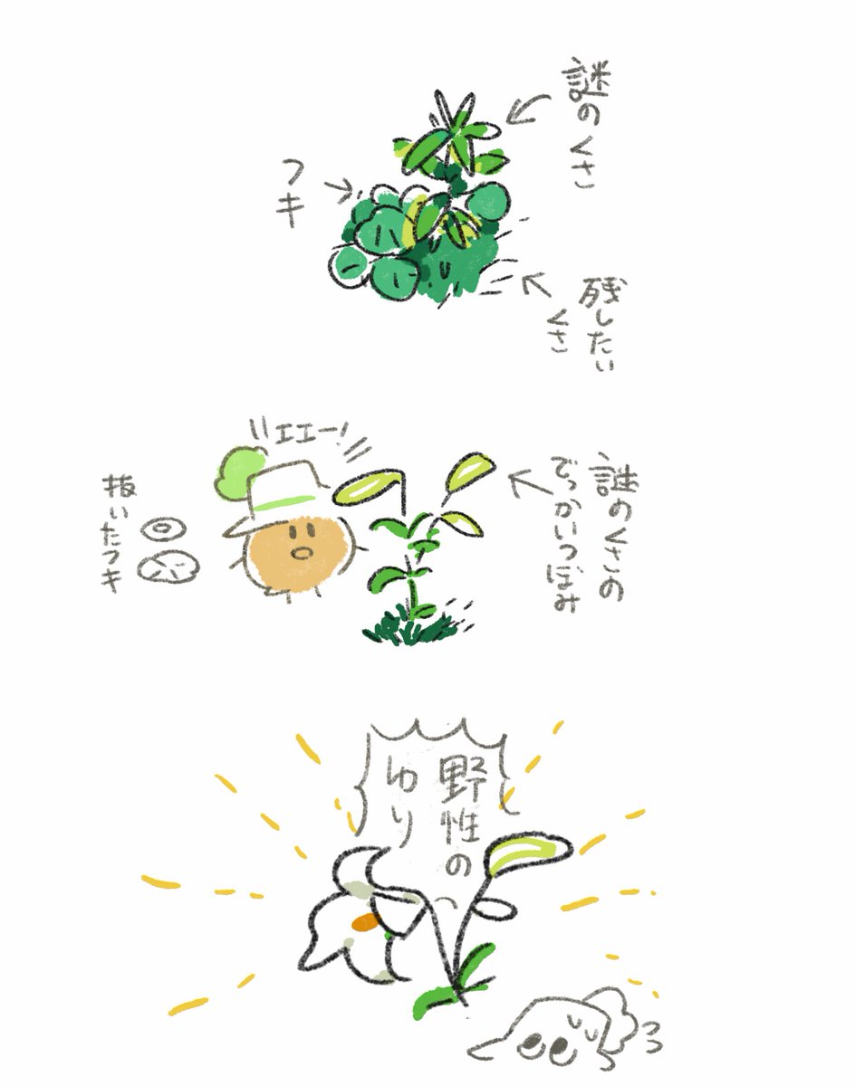 野生のユリ回、takaedakiribasami回、命回 