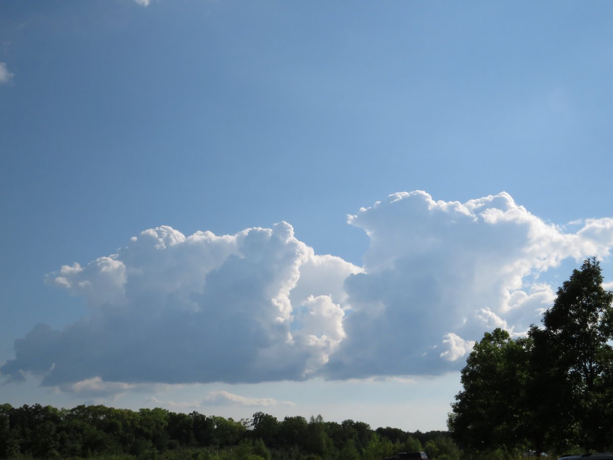 PLKlein_Author's tweet photo. "Success lies in doing not what others consider to be great, but what you consider to be right." ~ #JohnGray #ThinkBIGSundayWithMarsha #SundayMotivation #ThinkingOutLoud #QuickQuotes #ThinkBig #Success #WhatIsRight https://t.co/WkPot54QrZ
