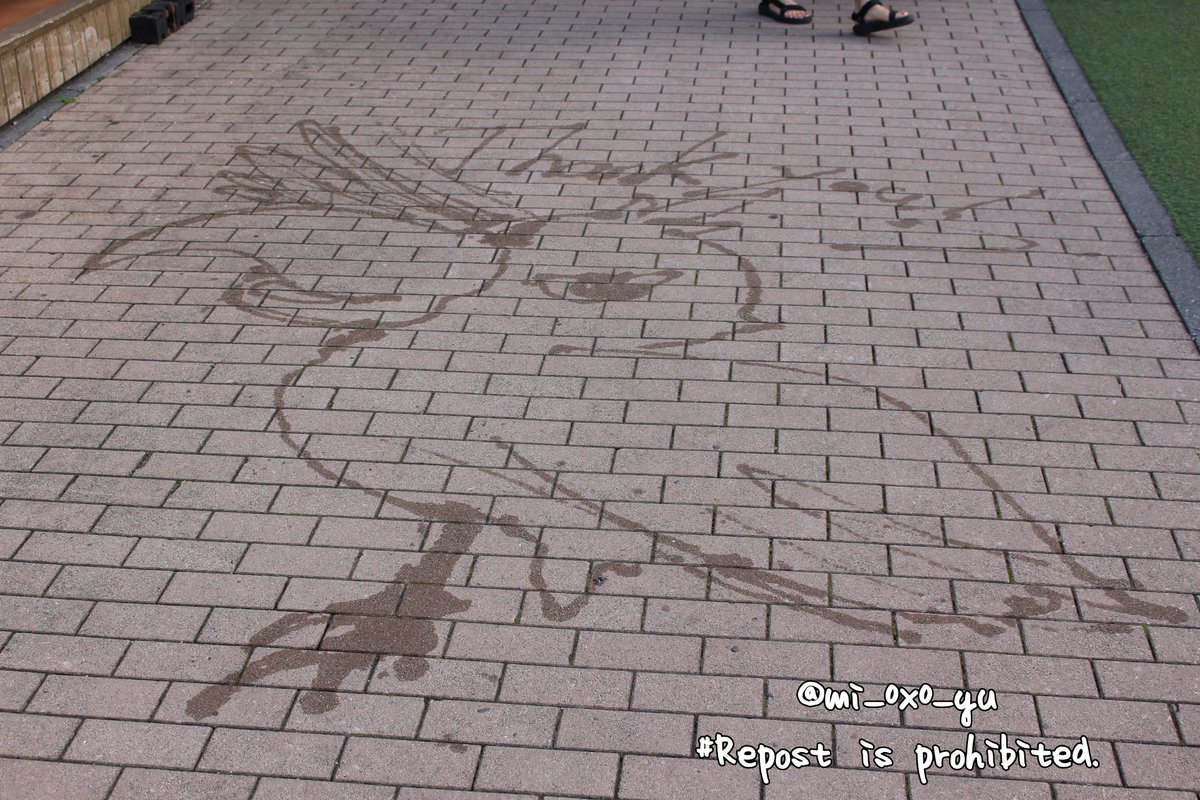 明日にはもう会えなくなってしまうかもしれない。それを思い知った。
📷2018.08.18(翌日に急逝)

#那須どうぶつ王国  #ハシビロコウ  #アサラト