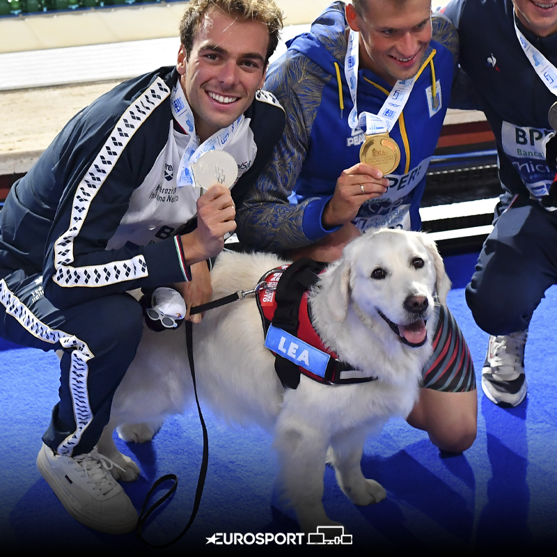 Eurosport_IT's tweet photo. Abbiamo parlato delle mascotte di Roma? 🐶💙

#Nuoto | #Roma2022 | #LENRoma2022 | #Roma | #Ostia https://t.co/1bczbnXOCT