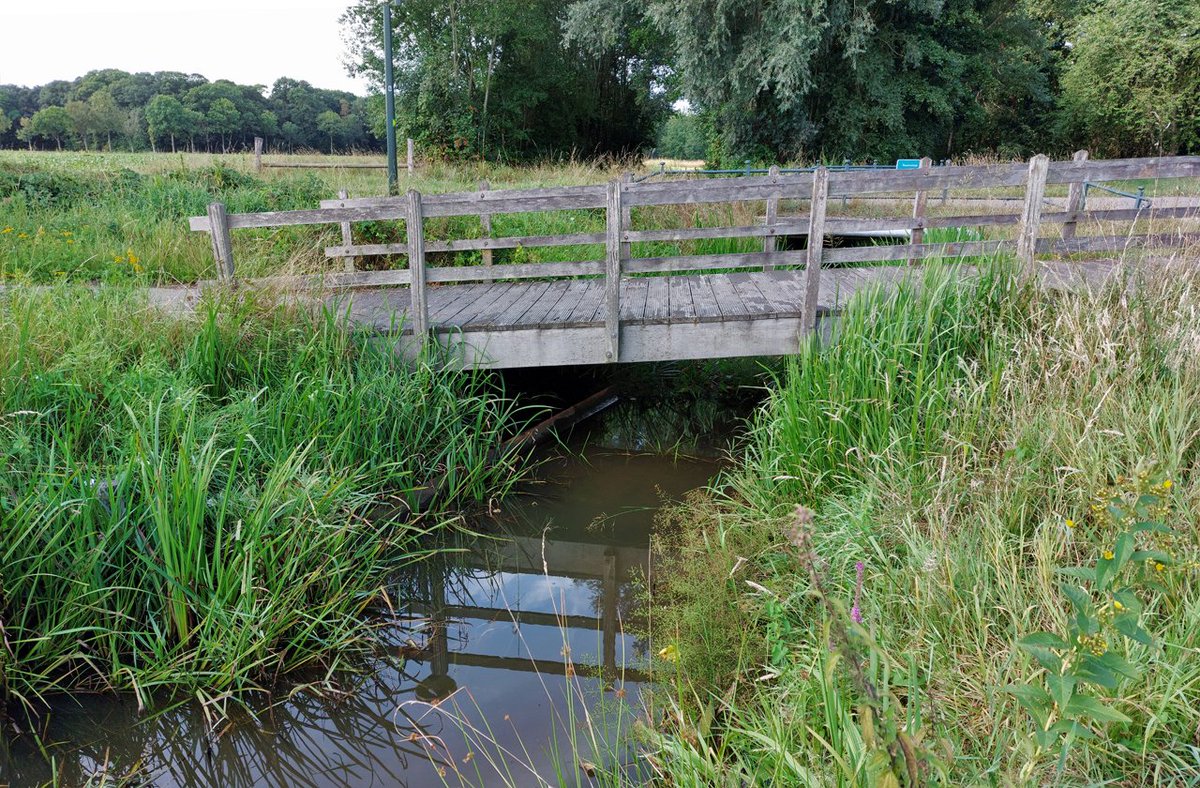 HeijdenJozef's tweet photo. De #Raamsloop bij Hulsel.
Hoe verder stroomafwaarts (benedenstrooms), des te minder water in de beek staat. 500 meter verder staat er geen water meer in de beek. enkel een vochtige bodem.
@BoswachterFrans @wddommel @gemeenteRDM #Hulsel https://t.co/JpQ9mEjbHQ