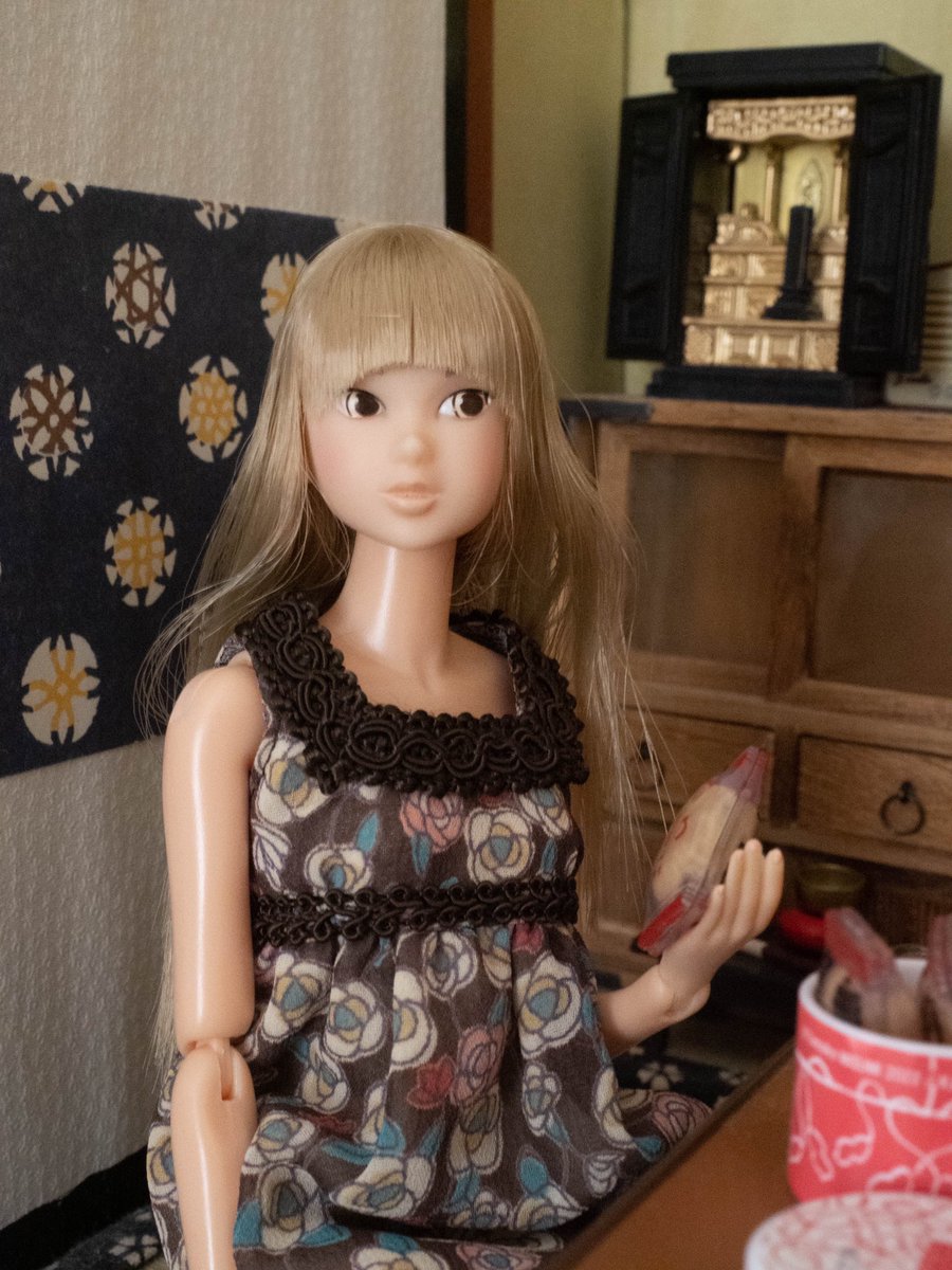 ですが momoko DOLL モモコドール レイシーモダニスト kvMVR