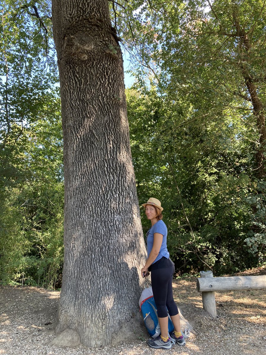 Aurelien Lallemant #IA 🔎 & #RSE 🌎 tweet media