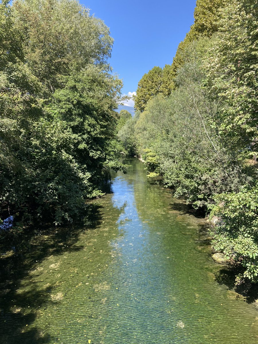 Aurelien Lallemant #IA 🔎 & #RSE 🌎 tweet media