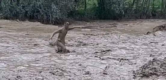 لوګر،نورستان او نورو سیمو کي سیلابونوله امله زمونږ یوشمیر هیوادوال شهیدان شوي،کورونه،ژرندې،کروندې او سړکونه يې له منځه تللي د دې غمیزې امله د قربانیانو ورثو ته د زړه له تله تسلیت وایم . حکومت ، داخلی او خارجی کومک کوونکې باید عاجل لاس په کار شې او متضررینوته عاجلې مرستې ورسوې.
