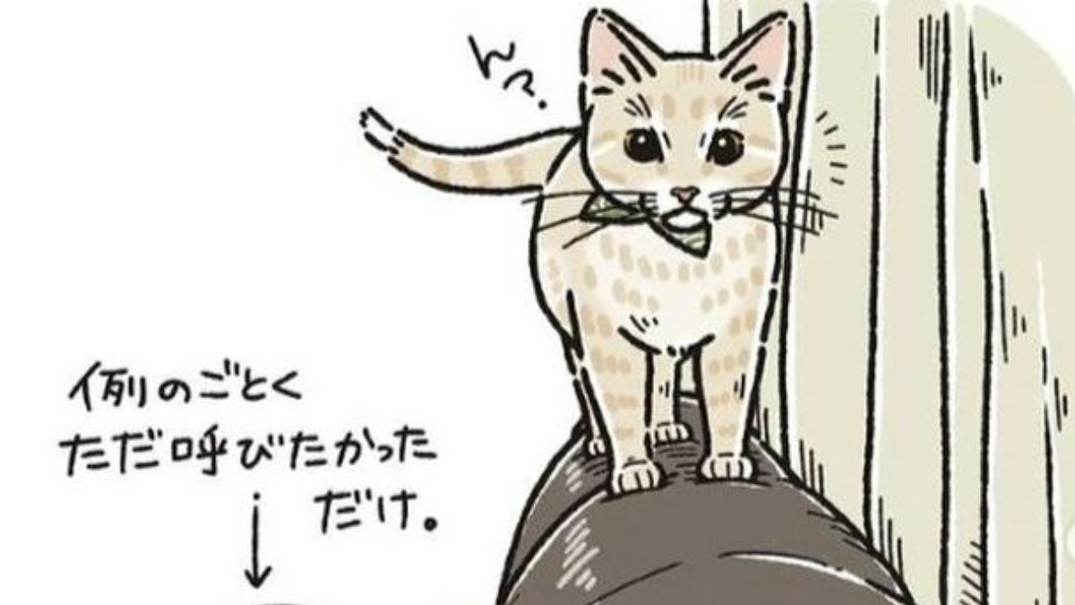 公式 Mofmo モフモ 中の人 漫画 ちょっぴりおドジっ子 おっちょこちょいなニャンコにクスッ T Co Pxlqcj5pox さんより 猫漫画 猫おもしろ漫画 猫かわいい漫画 T Co C7vmm7ci7k T Co 8xl0kaiesf Twitter