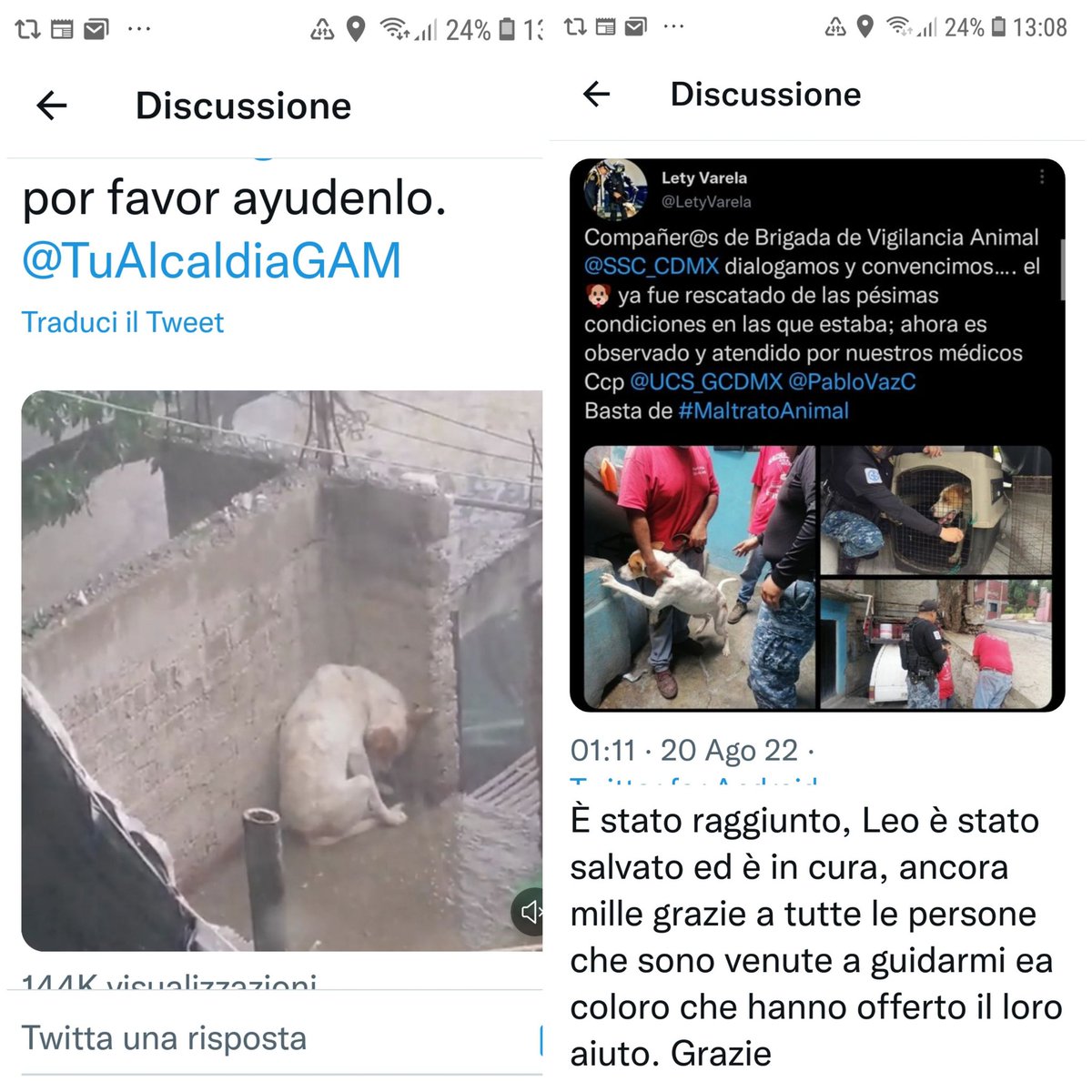 Emilystellaemi2's tweet photo. LEO È STATO SALVATO, GRAZIE A TUTTI.😂👋🙏❤❤❤❤❤💪👏👍❤ https://t.co/AglVR3RztY