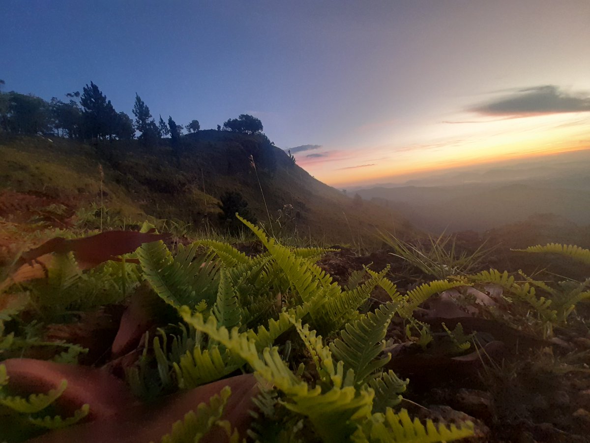 Zee creation (@creation_zee) on Twitter photo 