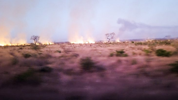 opaisonline's tweet photo. Sociedade
Fogo consome três hectares de área em Magude
#incendio #magude #provinciademaputo #opaisonline #opais #gruposoico
https://t.co/uffmuB9zt9 https://t.co/LIdj4i9B4v
