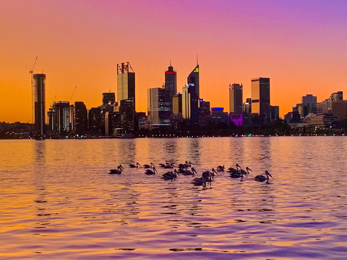 speedbird020's tweet photo. Perth sunsets just get better and better.
@StormHour @Keg767
#perth #justanotherdayinwa #perfectperth https://t.co/qAskKuEFx4