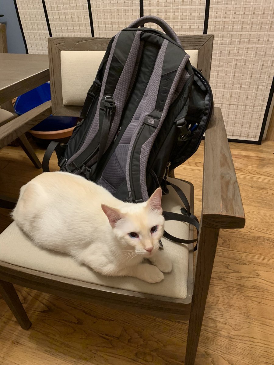 Sleeping by Däde’s work backpack so he can’t leave without kissing me goodbye first