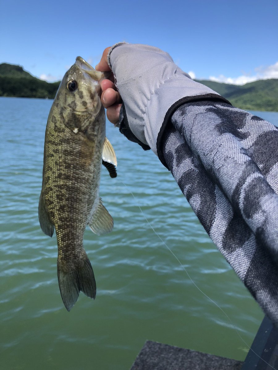 hiroki04211717's tweet photo. 今日の桧原湖
見事に撃沈6b3f一日探しまわったー
レンタルバスボートの人の強烈な引き波でバランス崩してwssST 65lが死亡！🥹
自分の身代わりになってくれたと思うしかない😂
＃桧原湖
#wssST65L https://t.co/2dVrqqvLdu