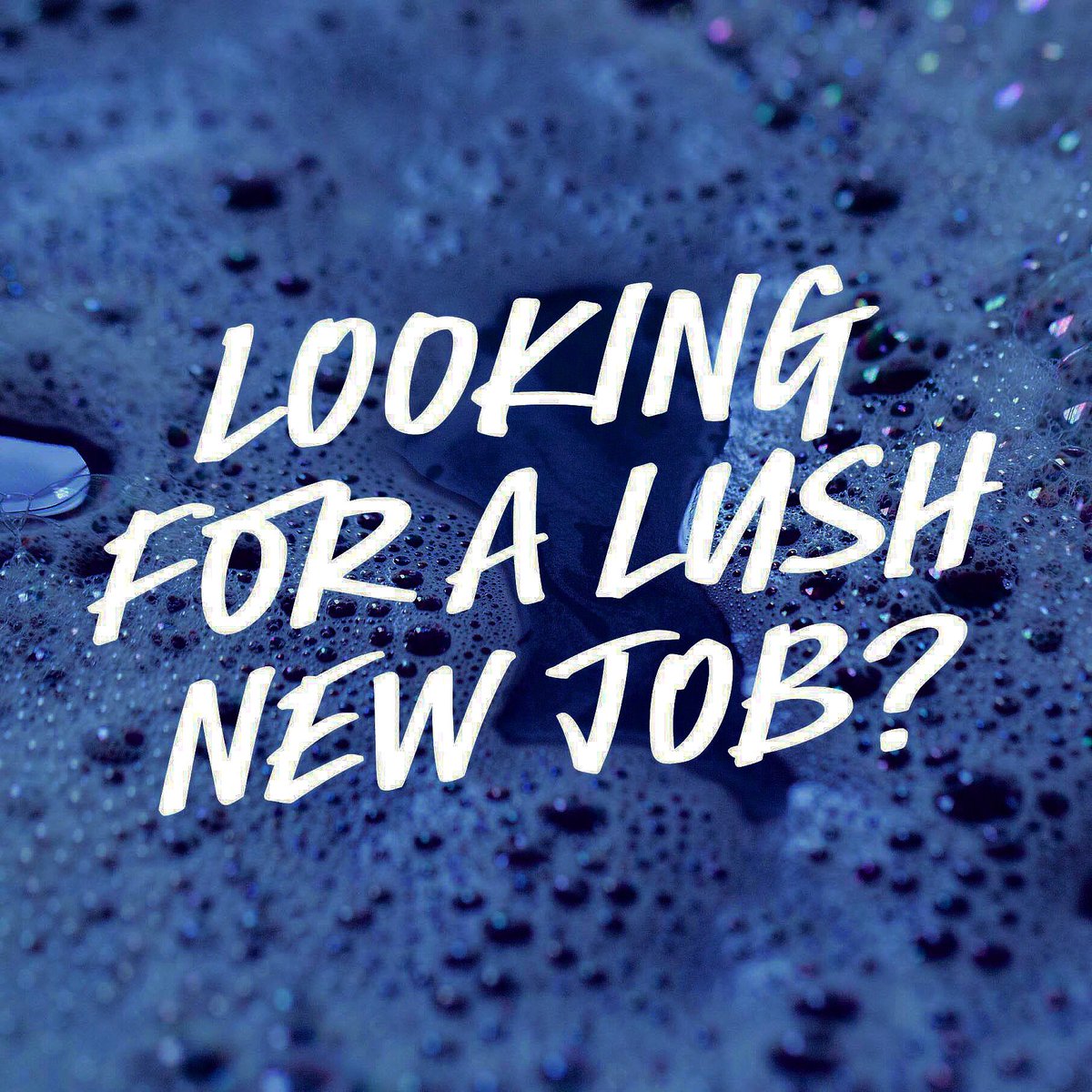 LushBromley's tweet photo. Lush Bromley are hiring for Christmas! 🎅 ❄️ Apply now with the Google form below and you could be helping us sell Snow Fairy this December! 🧚‍♀️ @TheGladesBrom @YourBromley https://t.co/LWo5gwUGJi https://t.co/jNzoIWkCsZ