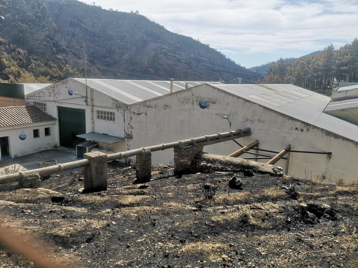 A només 1 metre es van quedar les flames de l'embotelladora d'aigua de <a href="/ayto_bejis/">Ayuntamiento Bejís</a>. Els bombers van evitar que es cremara i dimecres tornaran a embotellar. <a href="/apuntnoticies/">À Punt NTC</a> #IFBejis