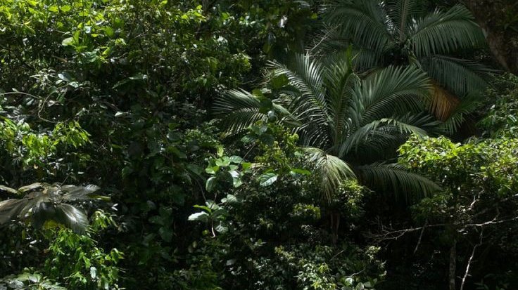 spacesolari's tweet image. hi besties ! im solari, im new to #studytwt and i dont know what im doing

🫧 — 06&apos; | she/her | (+63)
🐞 — grade 11, HUMSS
🍳 — cancer, intj
🧶 — i love crocheting and making impulsive decision idk

... 💌 lets be bffs ! love you !