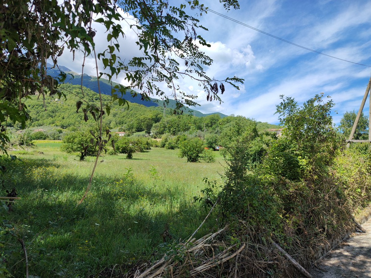 fabrizio_degni's tweet photo. Nature, captured with Motorola X30 Pro
#motorola #x30pro #nature #hires #green #landscape #walking #Tech @MoraYukana @Moto @motorolaindia @Tech_EdgeTE @stufflistings https://t.co/isBNYmbObm
