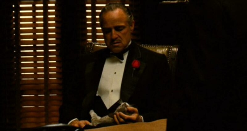 DDStarcourt's tweet photo. #Baba (#TheGodfather) #VitoCorleone'un #Bonasera'ya arkadaşlığı anlattığı ikonik sahnede, kucağında bir kedi vardı. Hayvan normalde senaryonun bir parçası değildi. #MarlonBrando, sete kaçak giren kediyi kucağına alınca şu an bildiğimiz bu sahne ortaya çıktı. https://t.co/8hbjIVXnYO