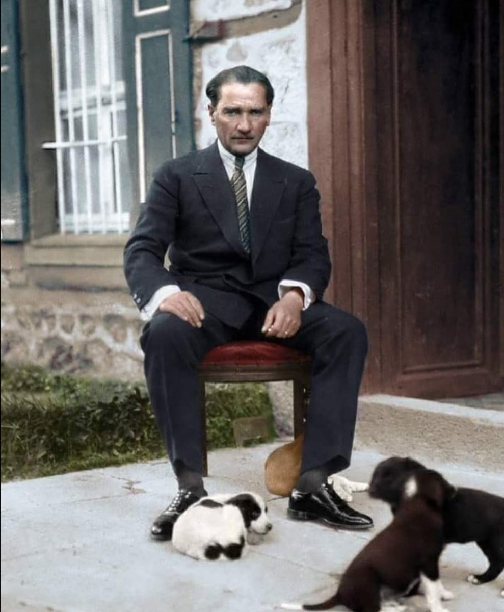 Ahmet Bozkurt tweet media