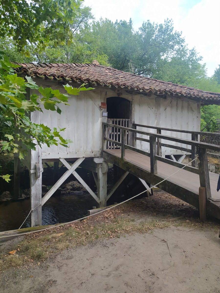 BK_abroad's tweet photo. Écomusée #Marqueze #Landes https://t.co/LRec7aSP2M