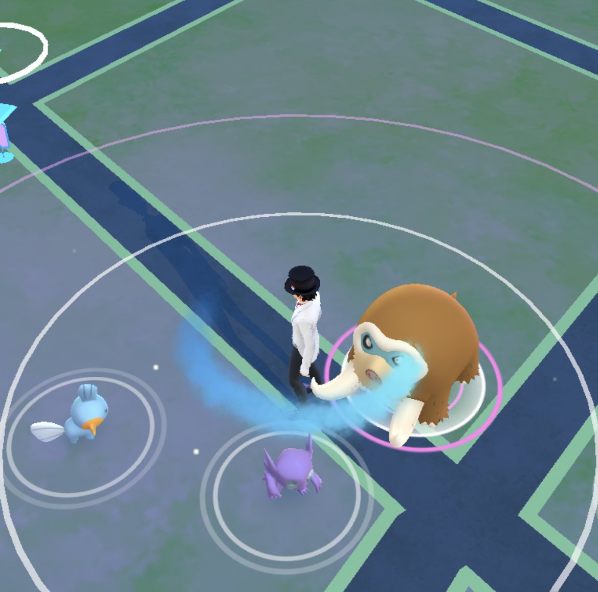 ポケモンgo マンムーの入手方法 能力 技まとめ 攻略大百科