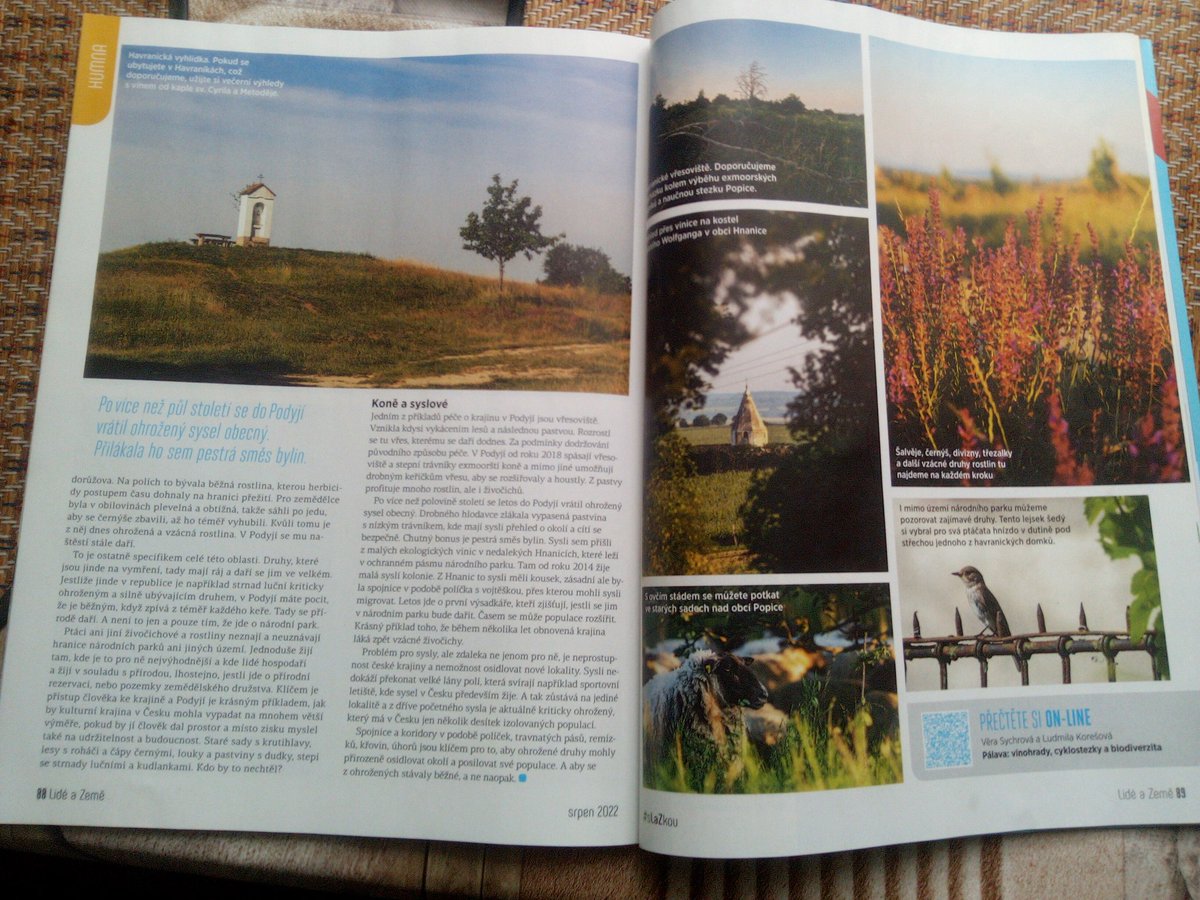 V novém čísle <a href="/lideazeme/">Lidé a Země</a> píšeme s <a href="/LilyKores/">Lily Kores</a> o tom, jak v <a href="/NPPodyji/">Národní park Podyjí</a> pečují o přírodu a obnovují ji za pomoci tradičních způsobů hospodaření. Díky tomu je to ráj pro krutihlavy, dudky, hrdličky divoké a mnoho dalších. #RestoreNature