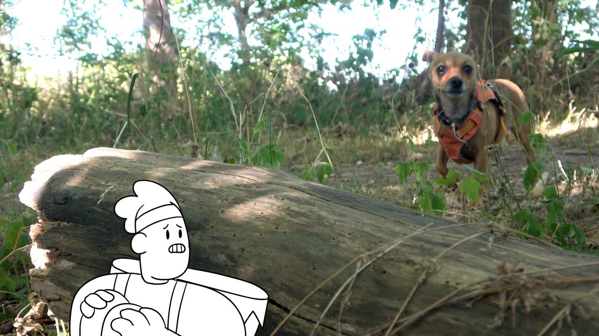TipTutZone's tweet photo. We're live working on merging 2D Animation and Live Action Film! Come animate with us! https://t.co/mRVvlPktnd https://t.co/IAyQ0nAYf1
