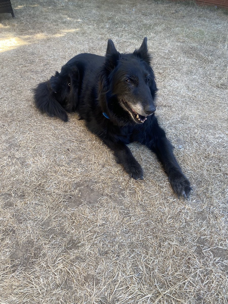 Carl Dawkinz tweet media