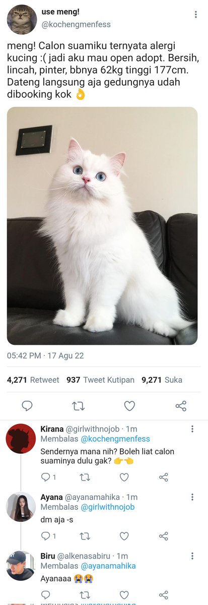 Alergi kucing

; lee jeno x oc onetweet local au
Ⓒ︎awesomeyoit, 2022