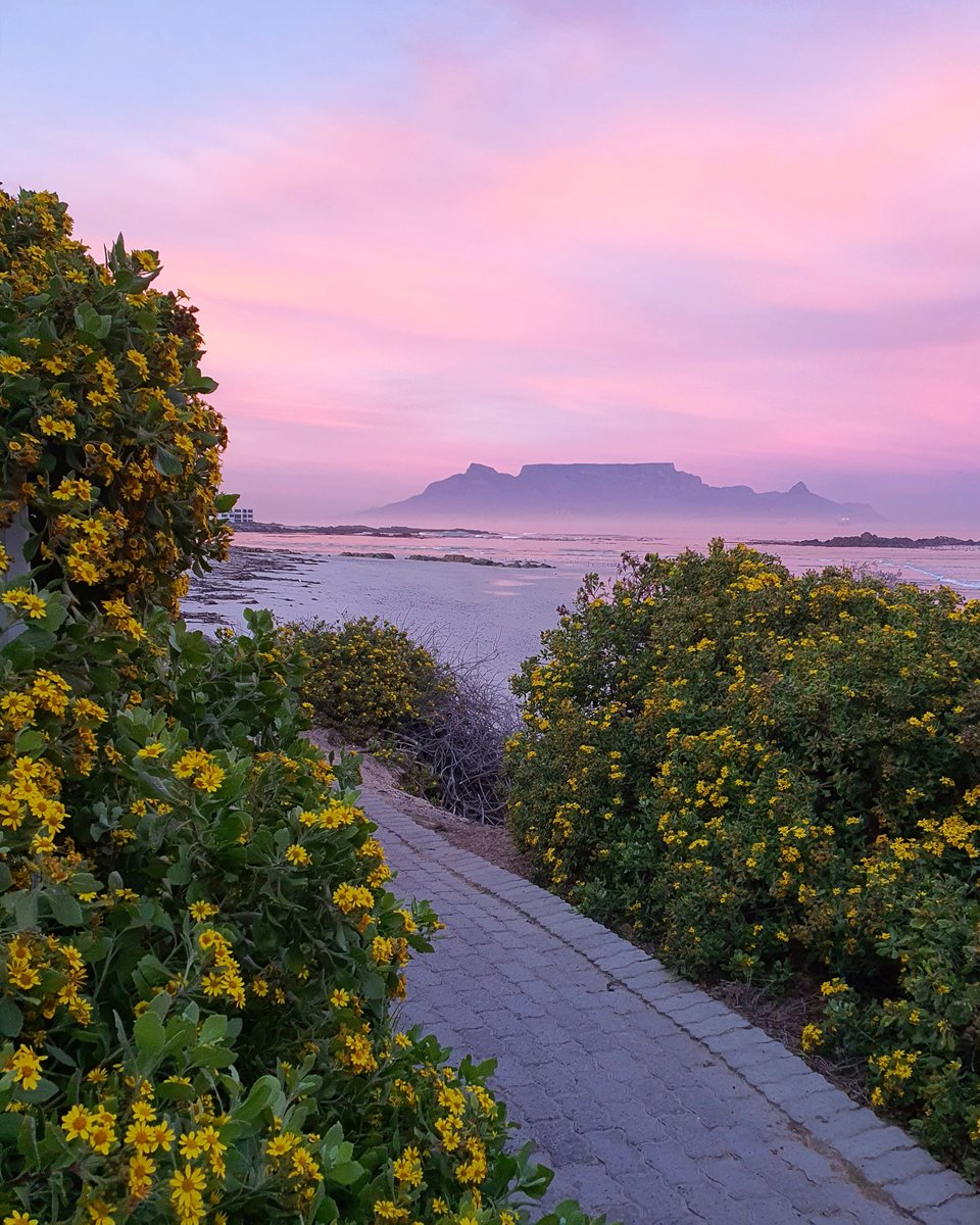 Sunrise stroll along the boardwalk in #BigBay.  Stop watching #MNet101 and get outside :)

#visitcapetown #capetown #tablemountain #travel