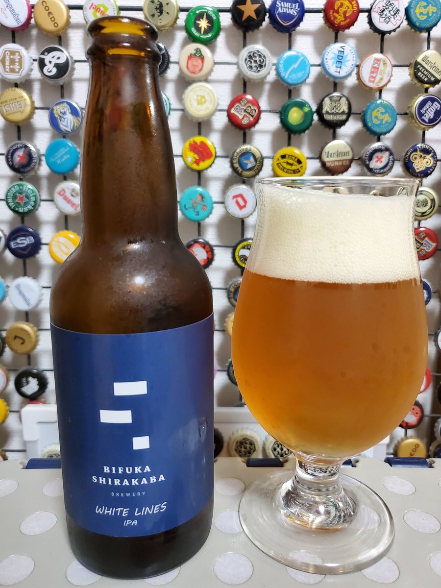 白樺　青空　南風

#美深白樺ブルワリー
#IPA
#ツィッター晩酌部