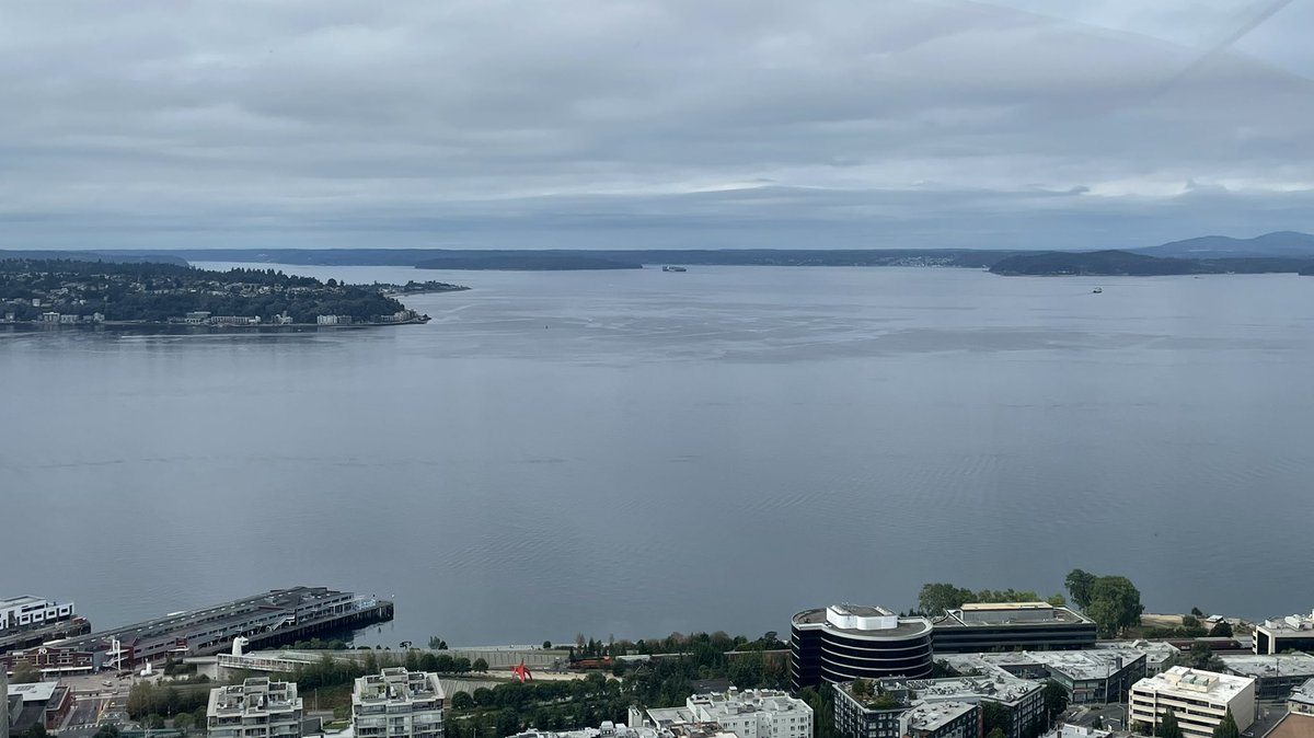 Alicia Bean On Twitter Rt Frankiecancook Bikinibeanskent Cupofcarliejo