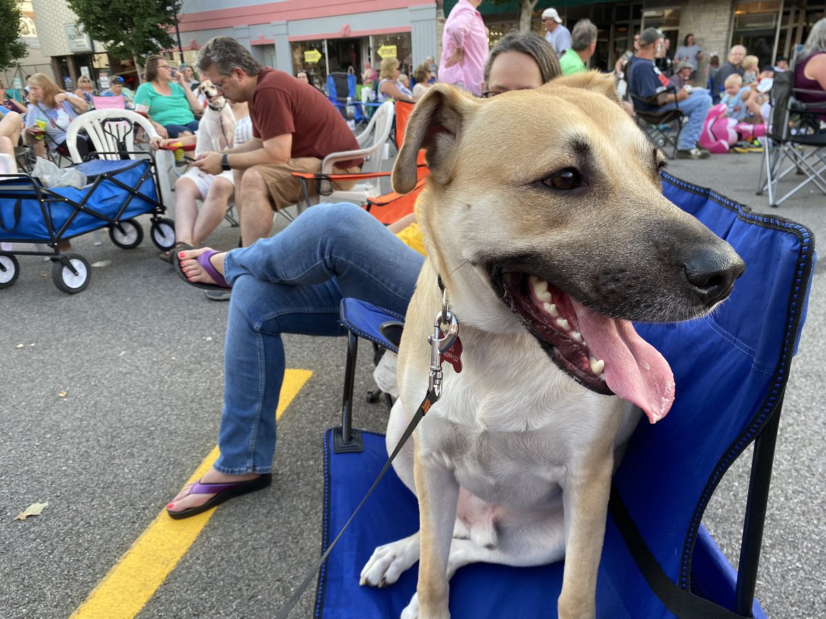 KennieBassWV's tweet photo. Dexter chilling at South Charleston’s Summerfest. Great event!!
#dogsoftwitter https://t.co/vf04bxogjT