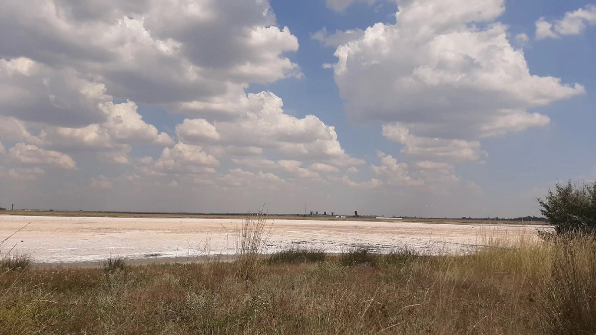 COUPSURE tweet media