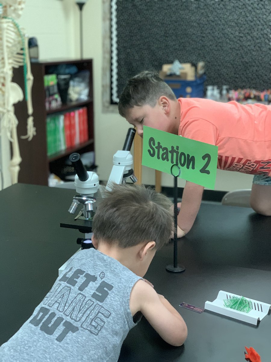 KKuoScience's tweet photo. Got some awesome little science helpers picking out the coolest slides for tomorrow’s microscopes lesson! ❤️🔬 https://t.co/8VFB4fbek2