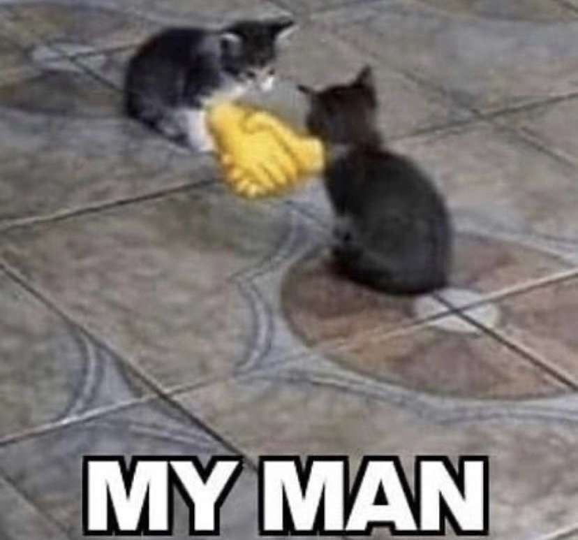 沖縄 | GreenDash® tweet media