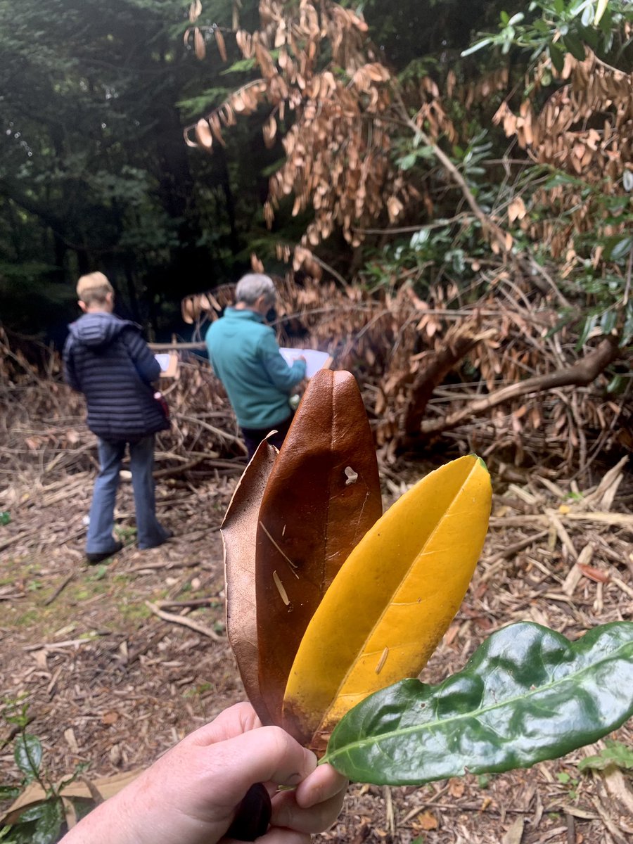 MrsFantoosh's tweet photo. A joy to bring one of my Sketch & Wander for Wellbeing experiences to @elwalkfest We had ourselves a lovely afternoon walking & mark-making in bonnie Gifford ๐๐ฟ๐ with thanks to hadd&lamm AP @EastLothianAP
#walkfest #healthwalk #sketchandwander #fantooshsketching https://t.co/ZWVB1zMypb