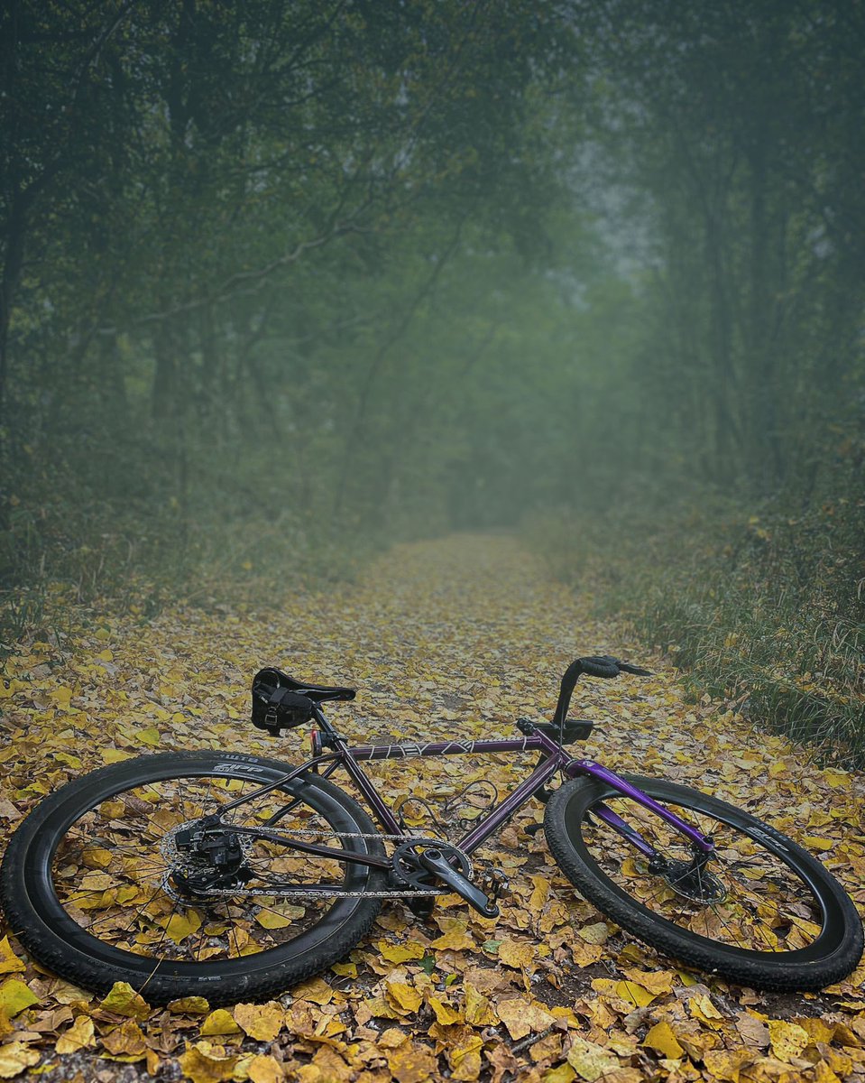 It’s not here yet? But a reminder that autumn is just around the corner! #autumnfall #cyclinglife #gravelcycling #photography #fallphotography