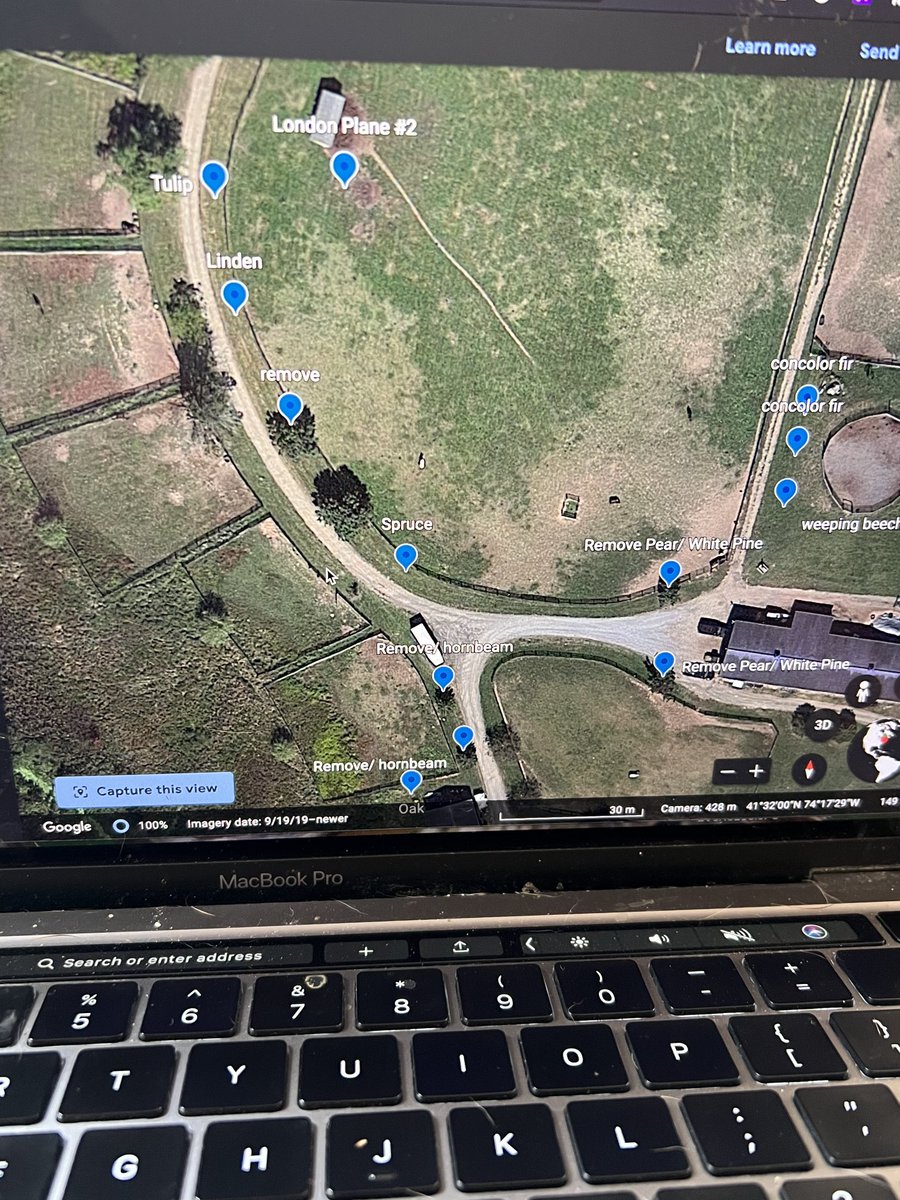 m_crouton's tweet photo. Planning fall planting and tree maintenance. What’s everyone up to this afternoon? #farmlife #plantatree #arborday #fallplanning https://t.co/HcVpgy6zox