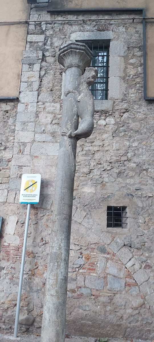 RubberBuns tweet media