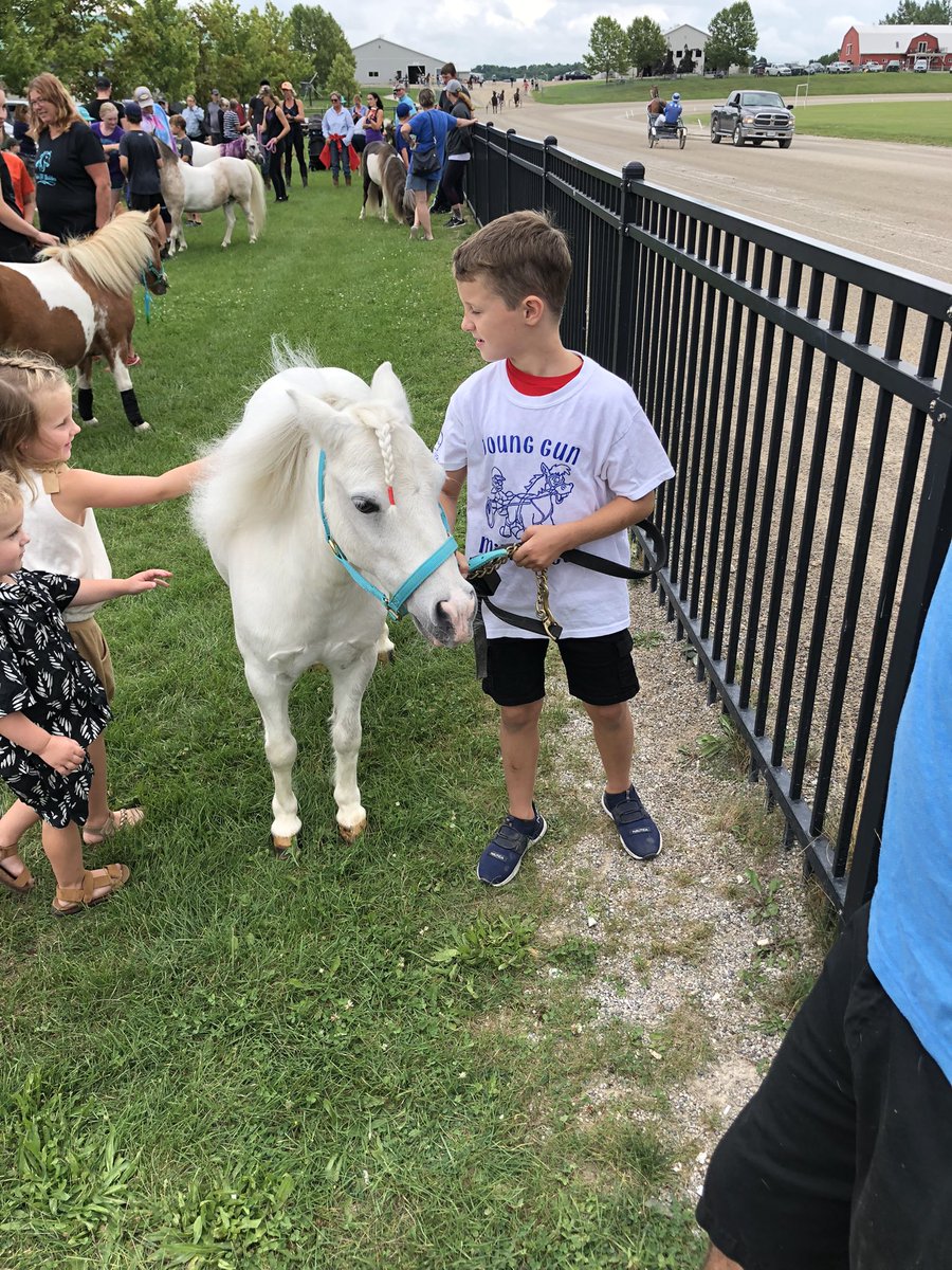 Miniature horses getting ready for the Young Guns horse race at Clinton Raceway!