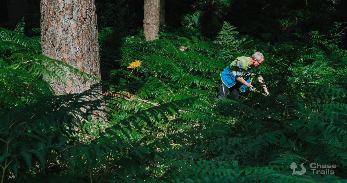 Chase Trails Volunteer Trailbuilders tweet media
