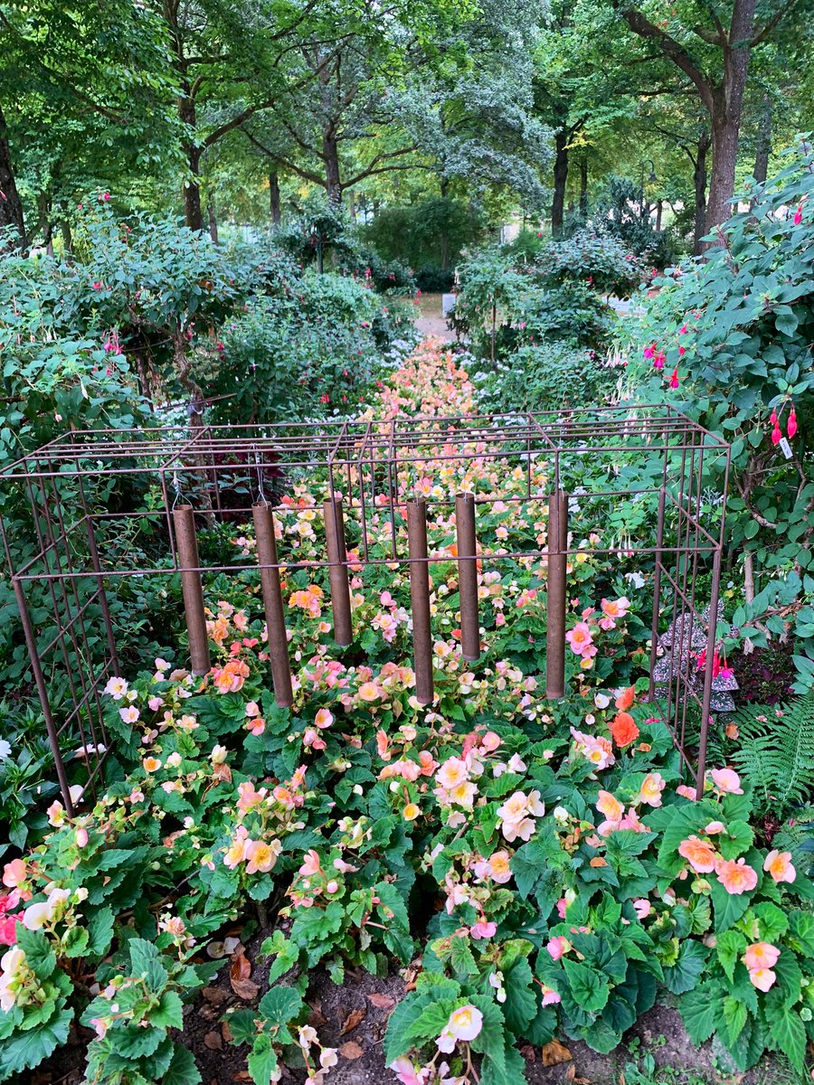 Berufs_Leben's tweet photo. Leben in der Wirklichkeit und im „Jetzt“ und „Hier“ kann Leichtigkeit, Freude und Liebe geben.
Kurpark in Bad Bocklet.
#Bayern #BadBocklet #naturelovers #Nature #livingmybestlife #Leben #NaturePhotographyDay https://t.co/CsxntqPiwO