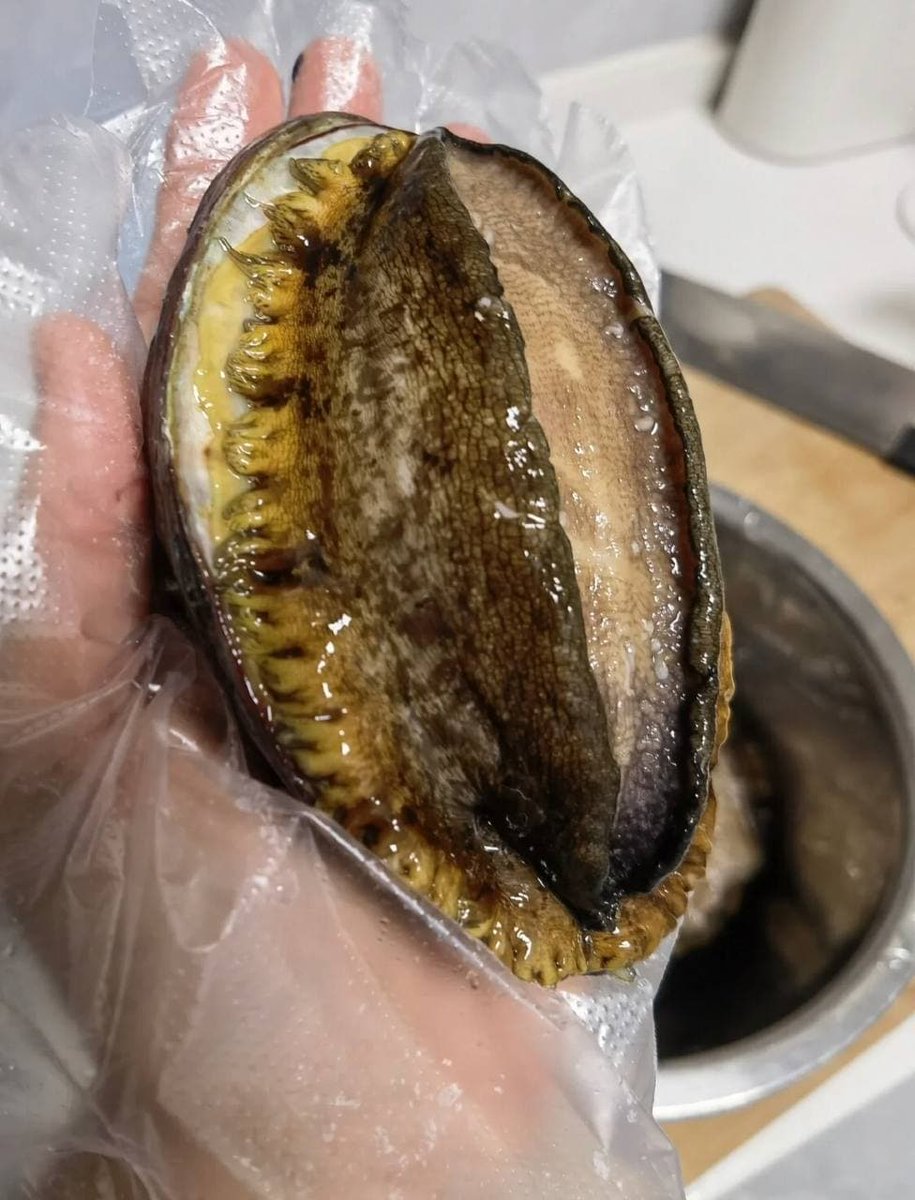 anna37849261's tweet image. I am a hardworking little bee.我是一隻勤勞的小蜜蜂.😀