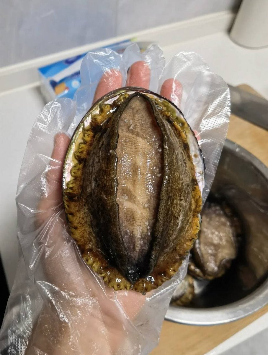 anna37849261's tweet image. I am a hardworking little bee.我是一隻勤勞的小蜜蜂.😀